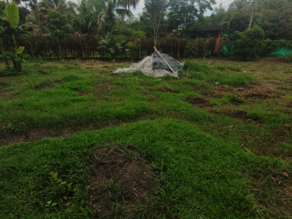 LOTE URBANO SAN PEDRO