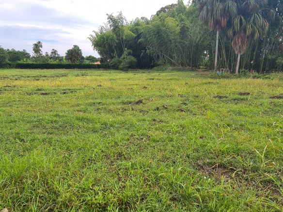 LOTE CAMPESTRE CAMPOALEGRE ANDALUCIA