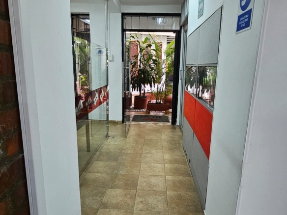 LOCAL COMERCIAL SALESIANOS