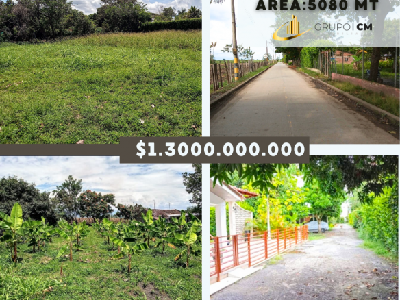 LOTE CAMPESTRE CAMPO ALEGRE