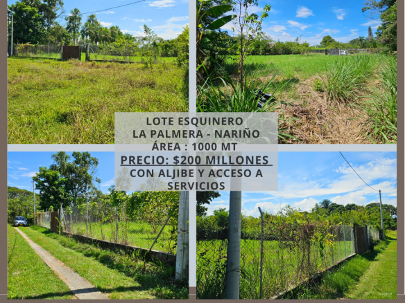 LOTE CAMPESTRE LA PALMERA