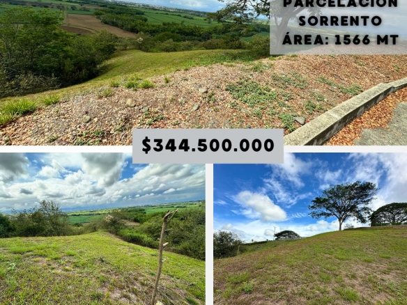 LOTE CAMPESTRE SORRENTO