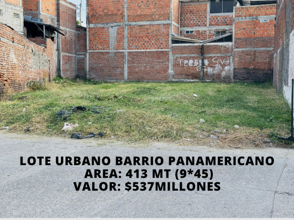 LOTE URBANO PANAMERICANO