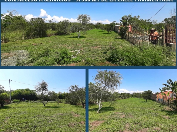 LOTE CAMPESTRE CAMPOALEGRE ANDALUCIA