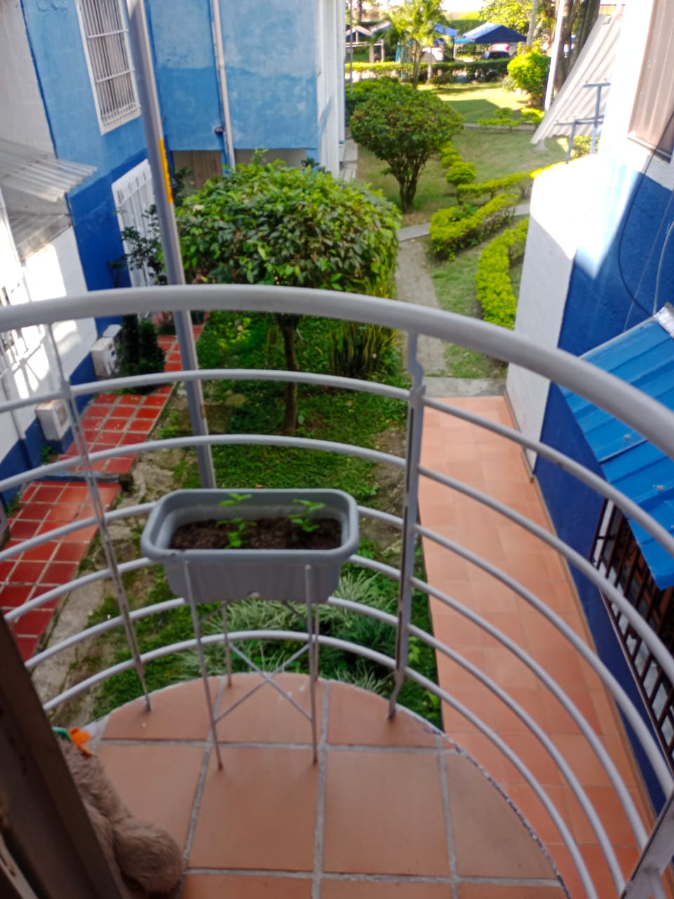 APARTAMENTO CONJUNTO LUSITANIA