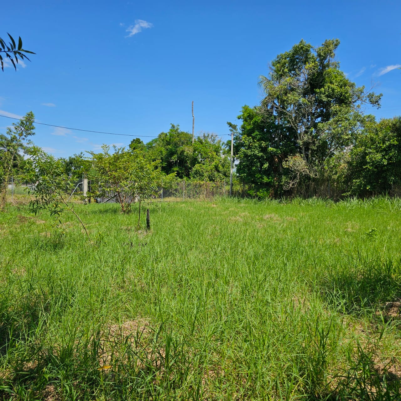 LOTE CAMPESTRE LA PALMERA