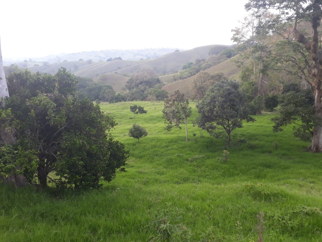 FINCA LLANOS DE LA IBERIA