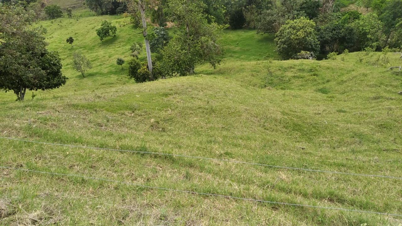 FINCA LLANOS DE LA IBERIA