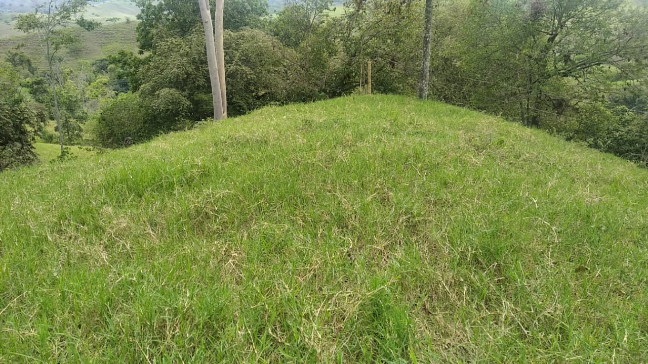 FINCA LLANOS DE LA IBERIA
