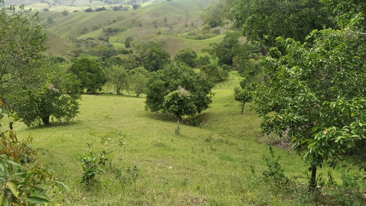 FINCA LLANOS DE LA IBERIA