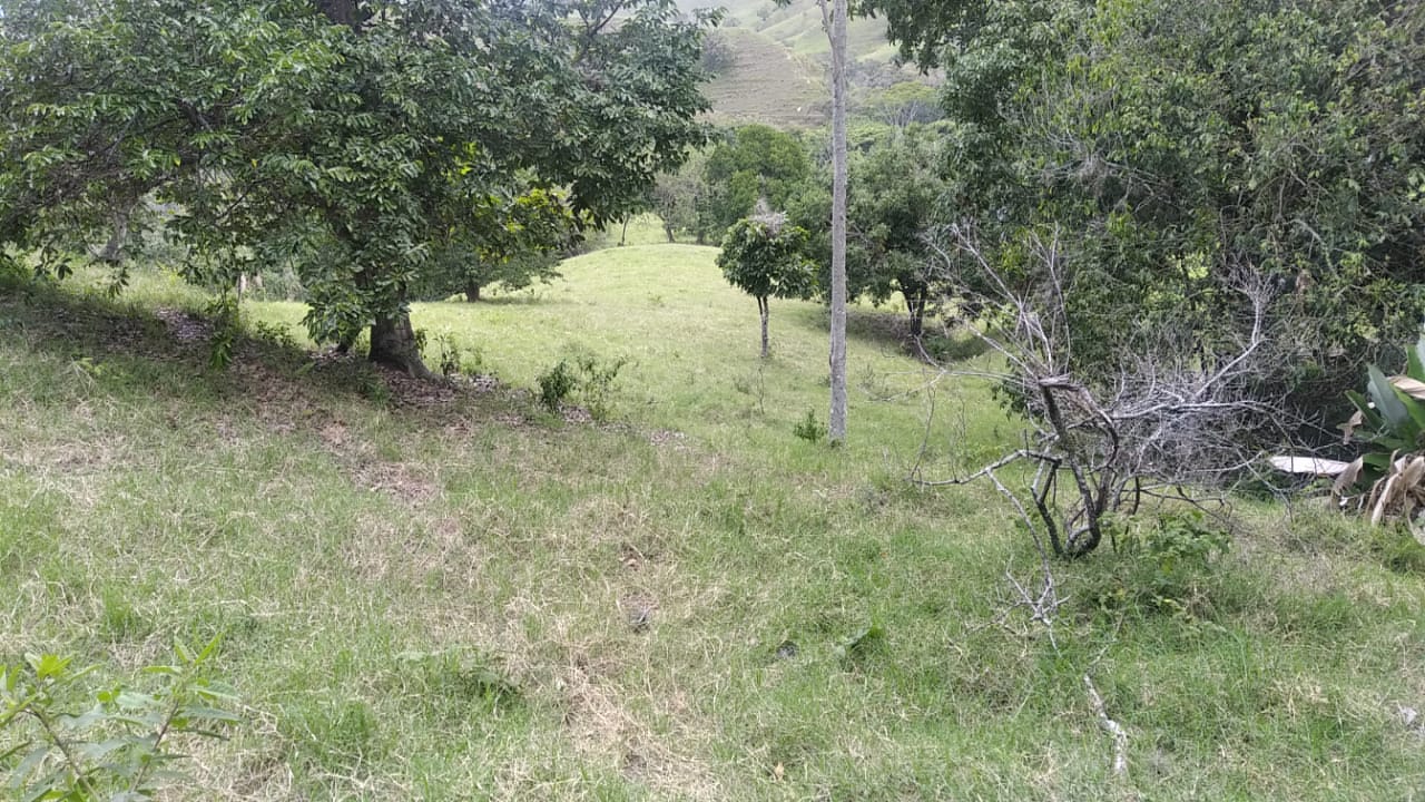 FINCA LLANOS DE LA IBERIA