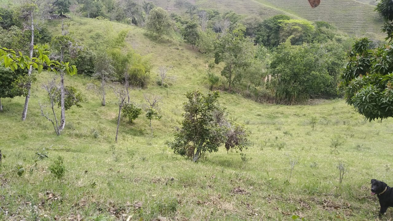 FINCA LLANOS DE LA IBERIA