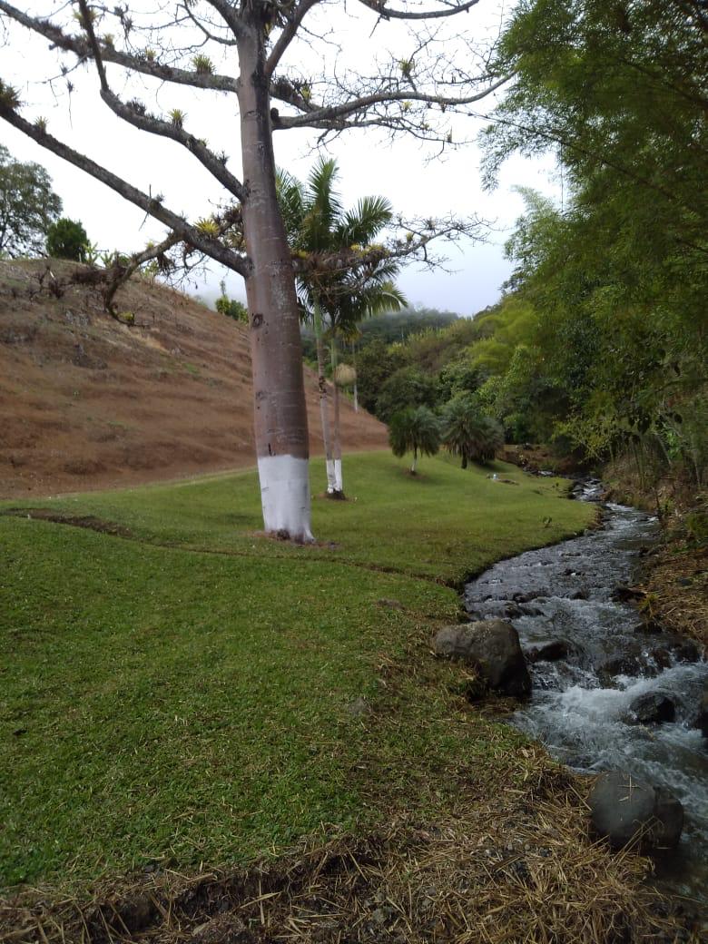 FINCA LAS OLIVAS
