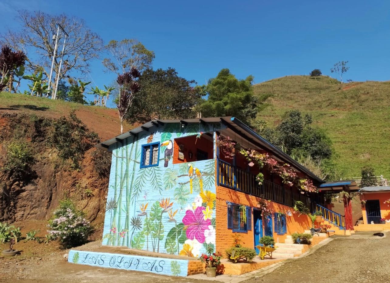 FINCA LAS OLIVAS