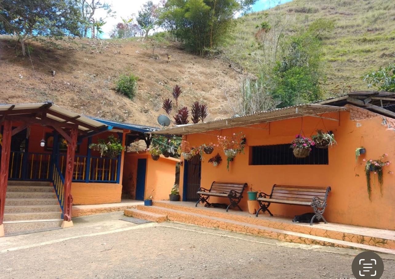 FINCA LAS OLIVAS