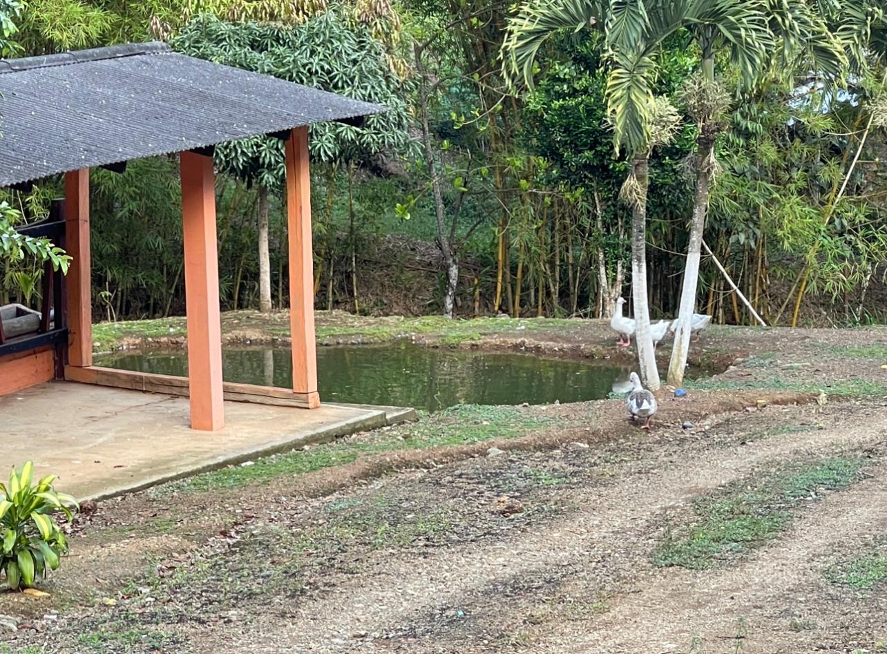 FINCA LAS OLIVAS